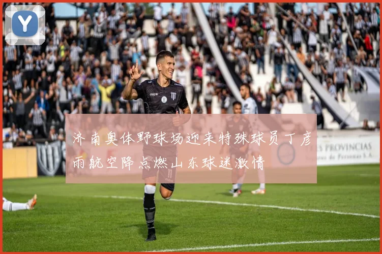 济南奥体野球场迎来特殊球员丁彦雨航空降点燃山东球迷激情