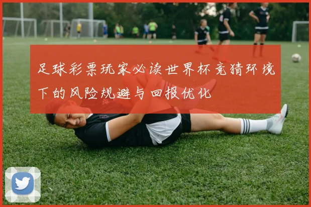 足球彩票玩家必读世界杯竞猜环境下的风险规避与回报优化